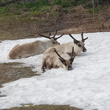 Strand Apartments Apartman *