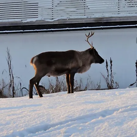 Strand Apartments Apartman