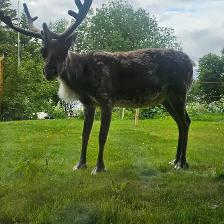 Strand Apartments Apartman